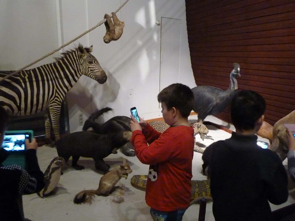P1300159